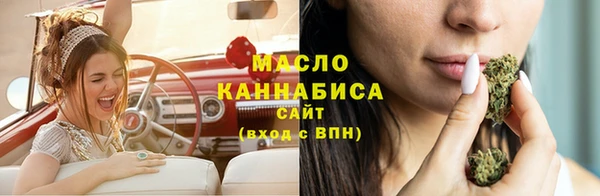 прущий лед Пересвет