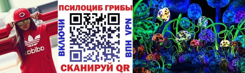 Галлюциногенные грибы Cubensis  Ясногорск 